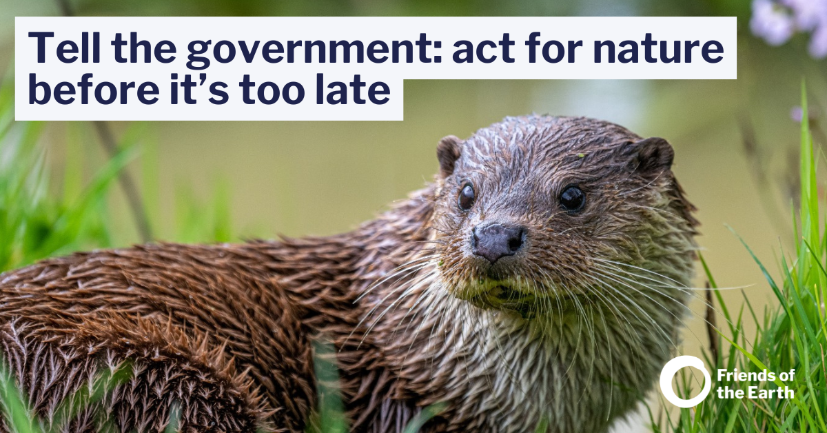 Tell the government: act for nature before it’s too late