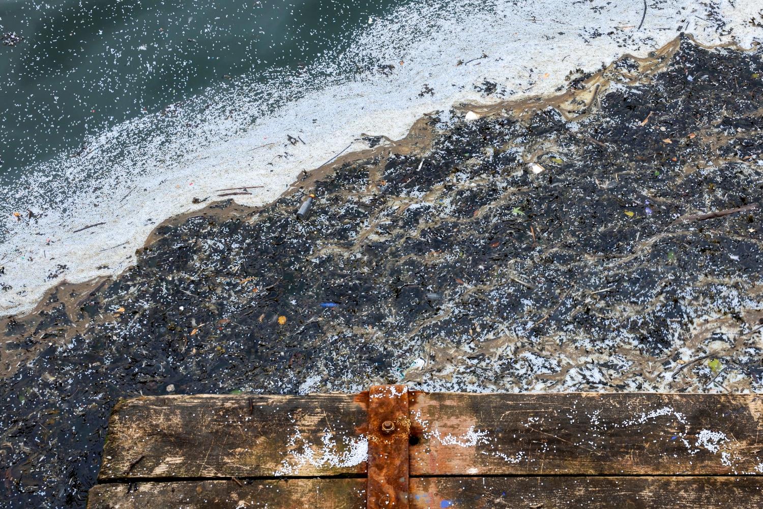 Plastic pellets appear as foam on the water and throughout debris against a wooden quay © Leah Pattem