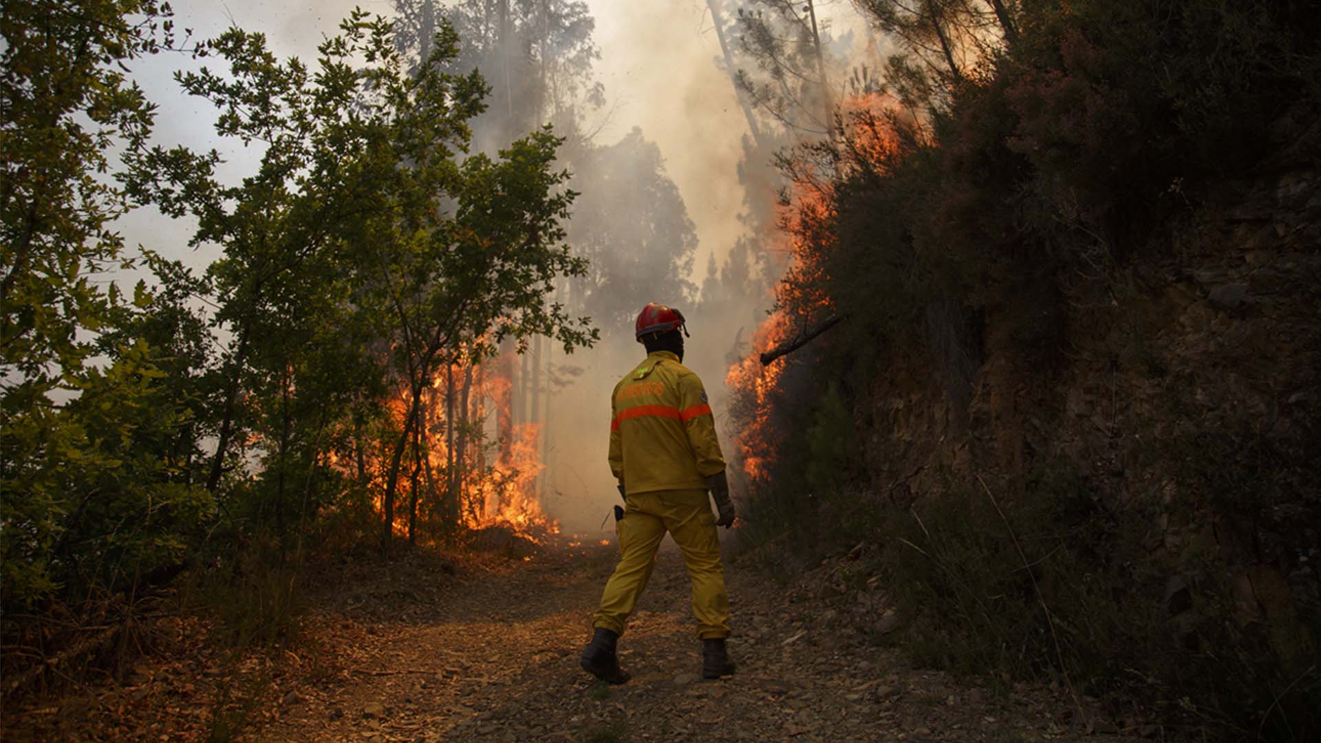 Image of fire fighter amid a forest fire 