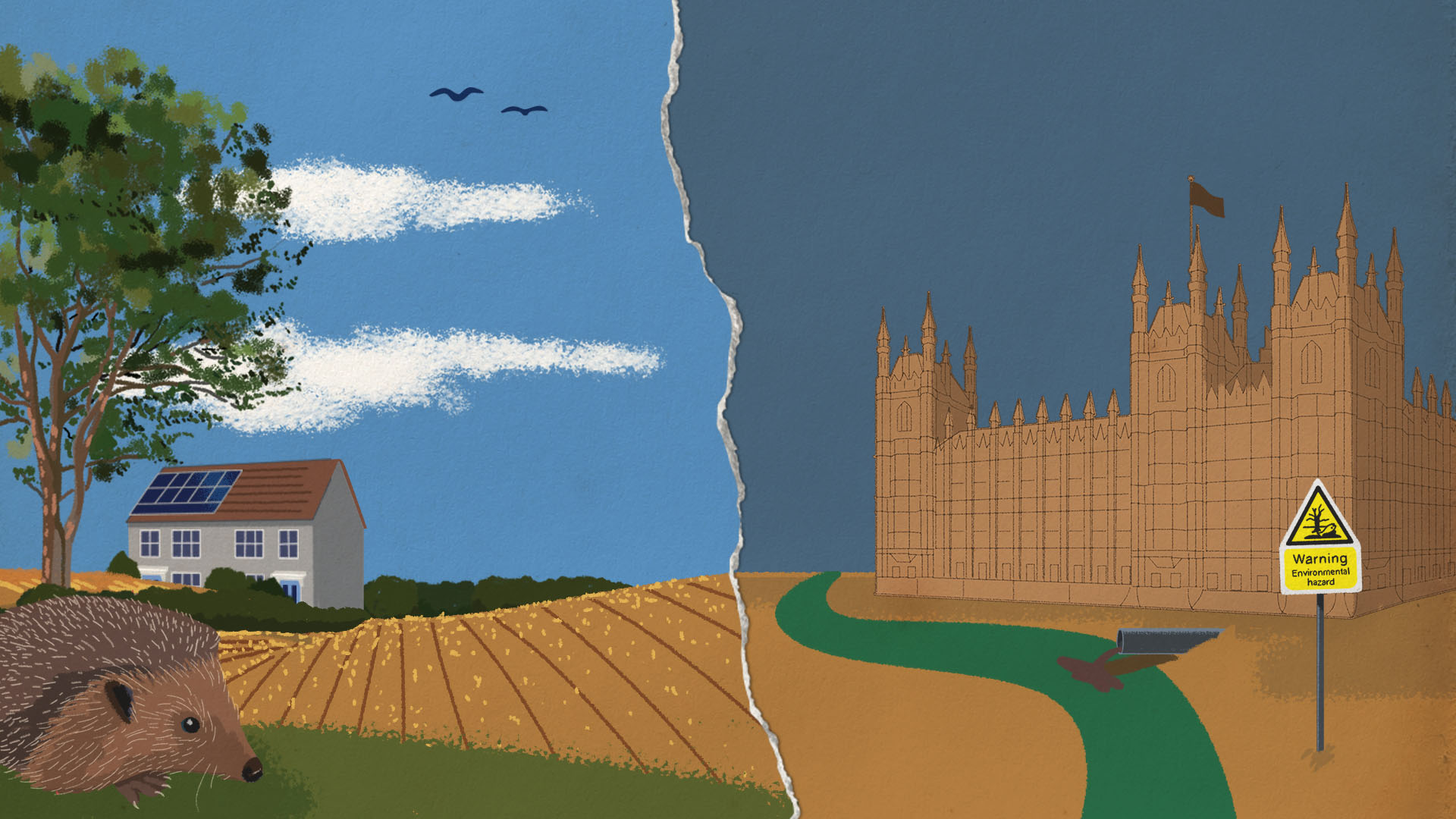 Animation of nature, including hedgehog and field on left. Houses of parliament on the right. 