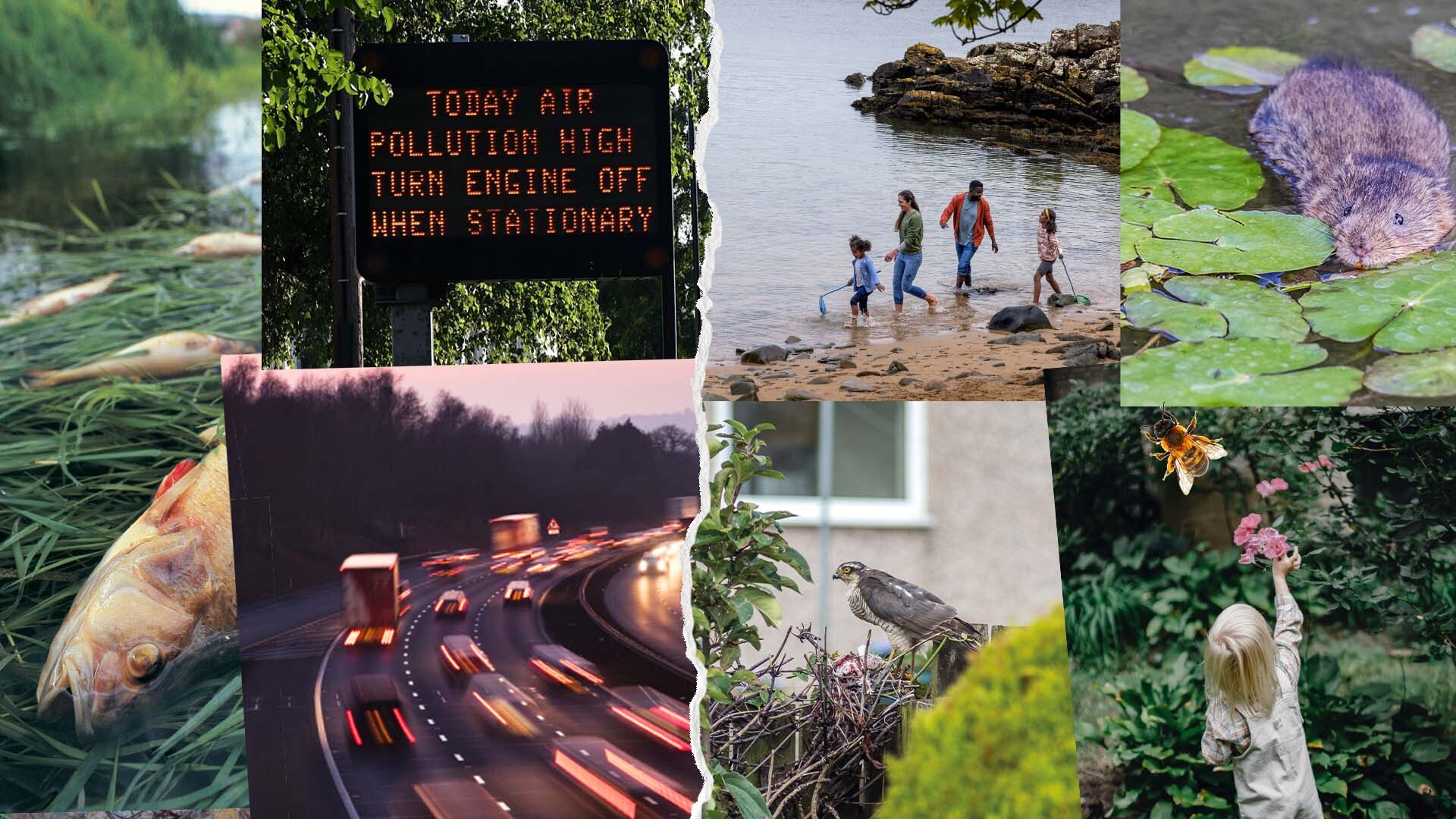 Collage of images of nature and pollution: family playing in sea, fish in pond, wildlife in lake, motorway and sign saying air pollution is high 